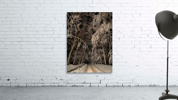 Covered in Winter. Wall Preview