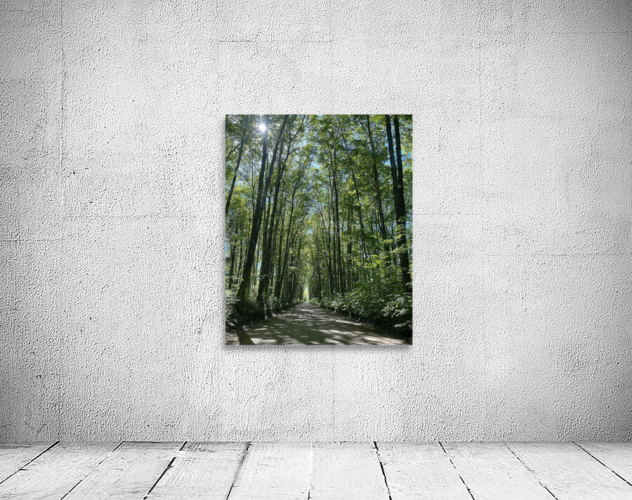 Covered in Summer. Wall Preview
