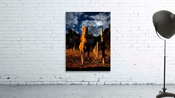 Ruger. Wall Preview