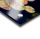 Lily Pads Acrylic print