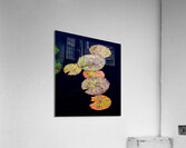 Lily Pads Acrylic Print