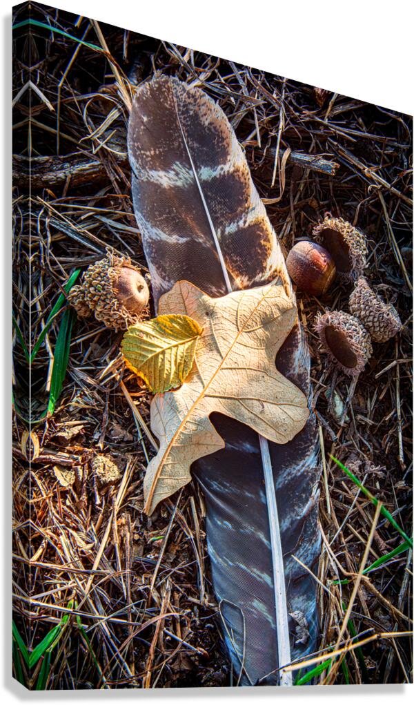 Woodland Tableau