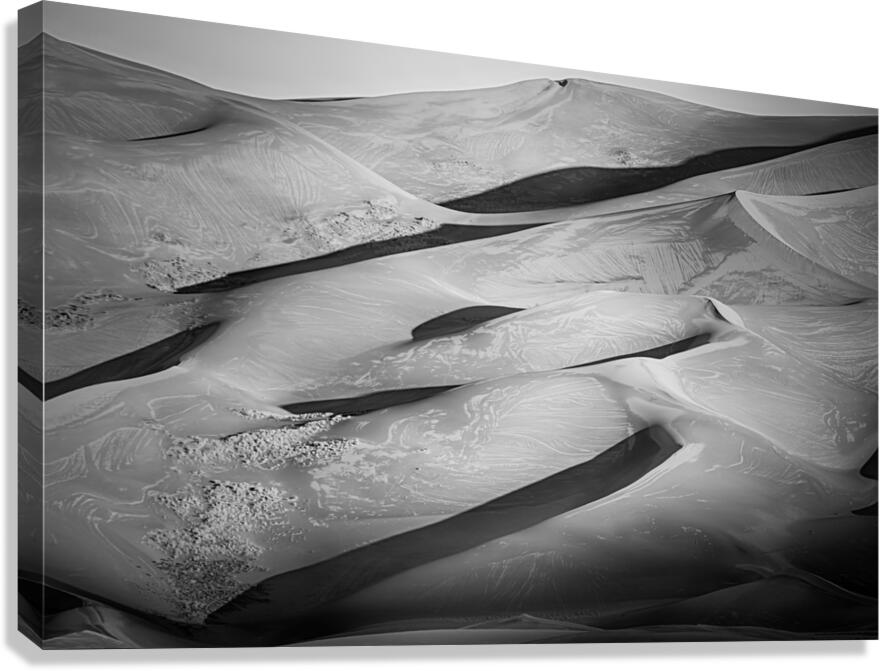 Dune Shadows  1
