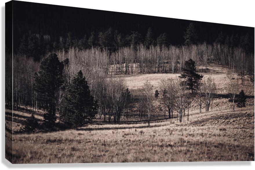 Colorado Late Autumn Meadow 4 With Sepia Tone