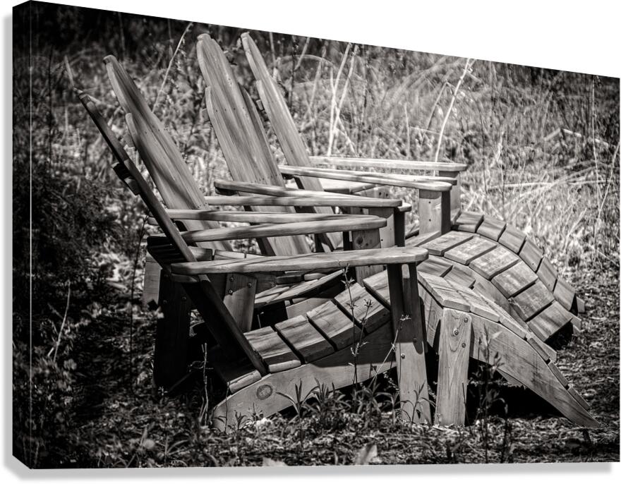 Shady Rest B&W