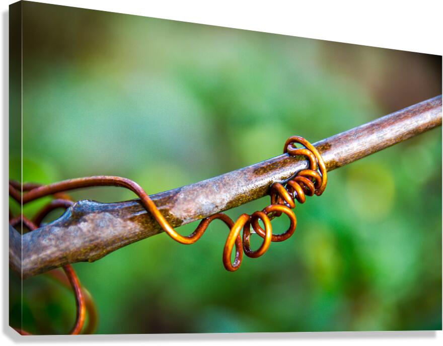 Tendril