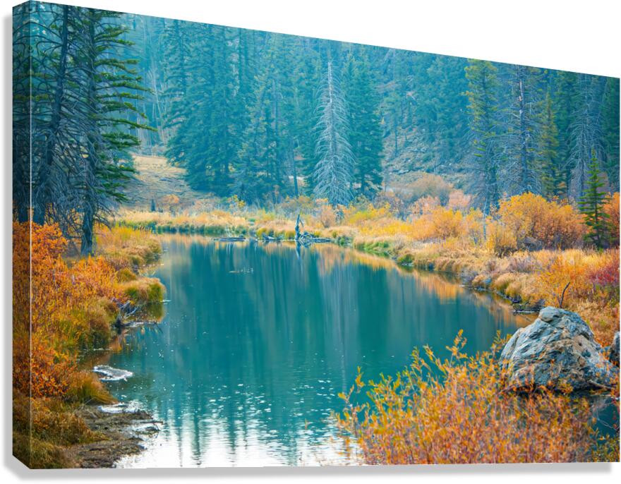 Rocky Mountain Pond