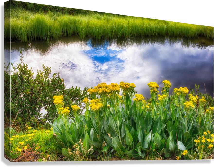 Waters Edge