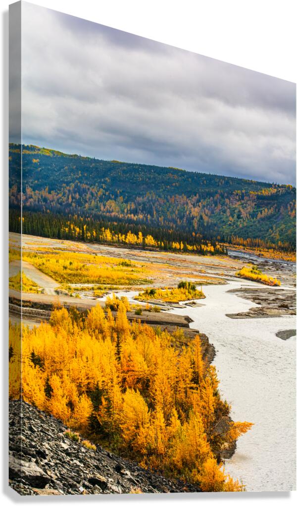Matanuska River Autumn Color