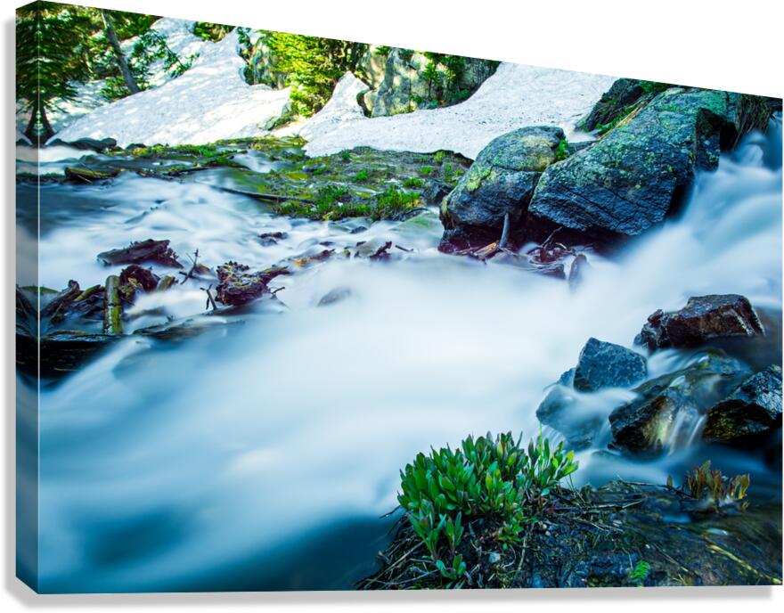 Rushing Snowmelt Stream