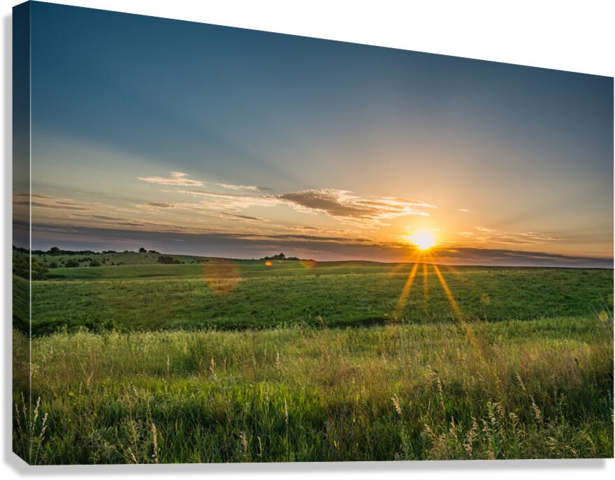 Tallgrass Prairie Sun Star