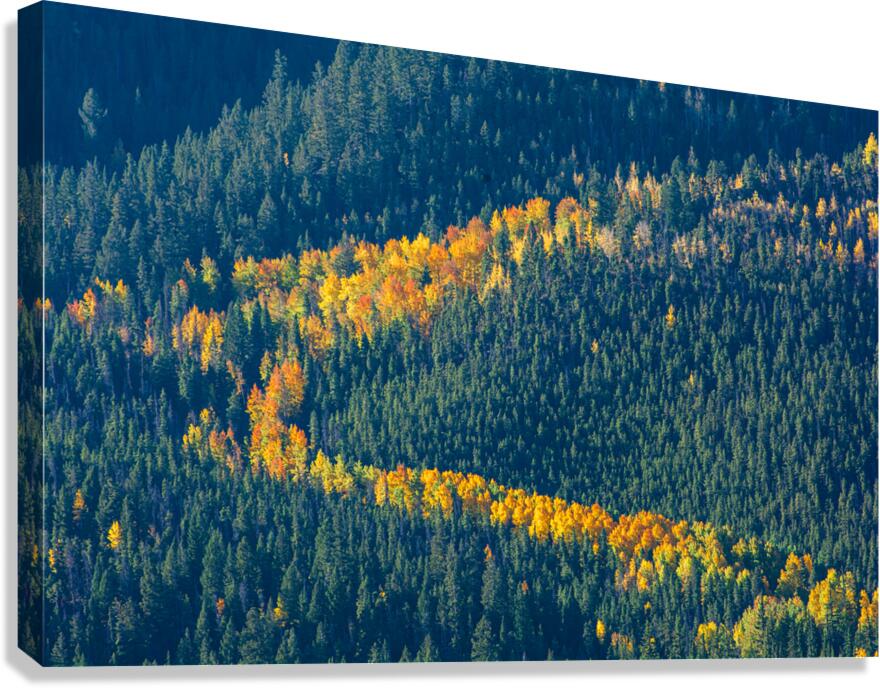 Stroke Of Golden Color