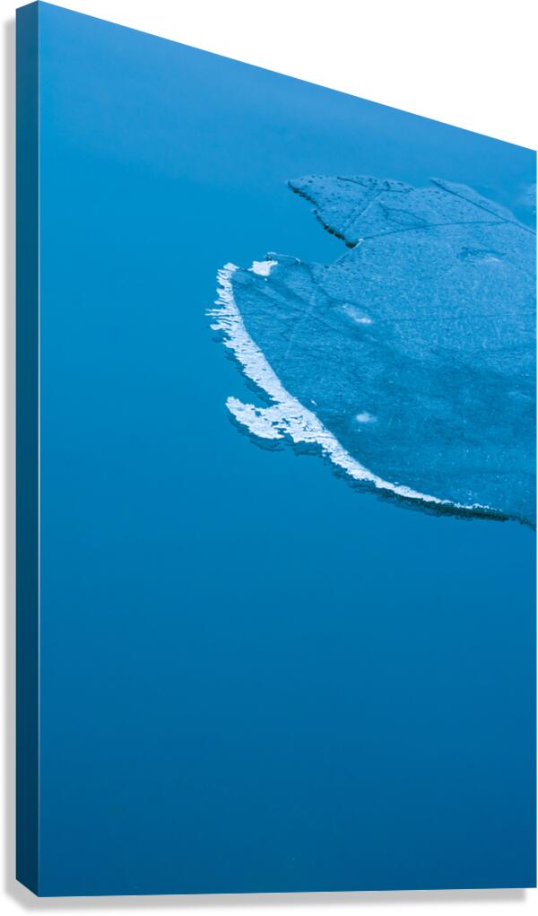 Lake Ice