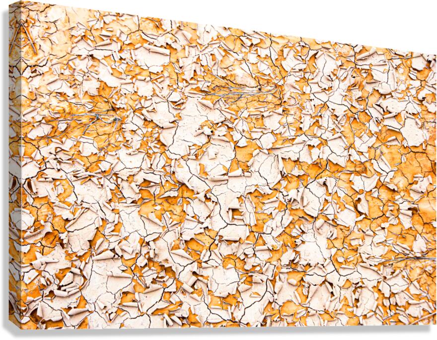 Dry Mud Abstract