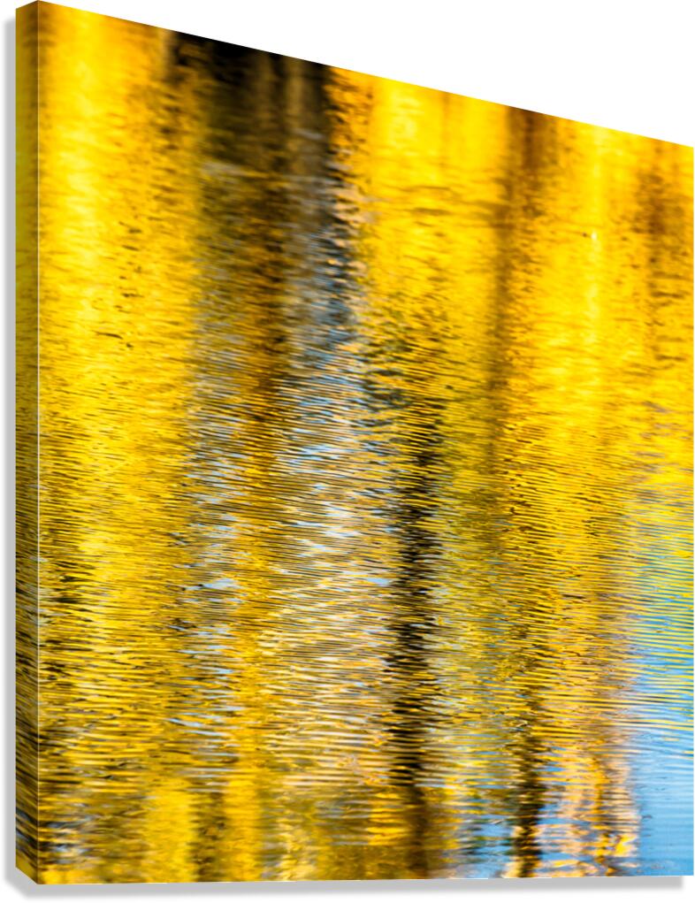 Autumn Reflected