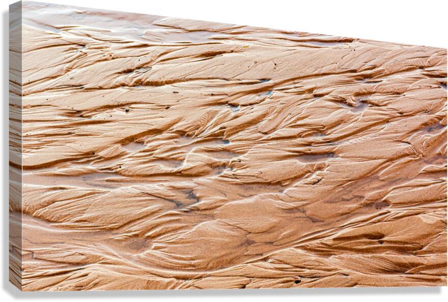 Rippled Sand