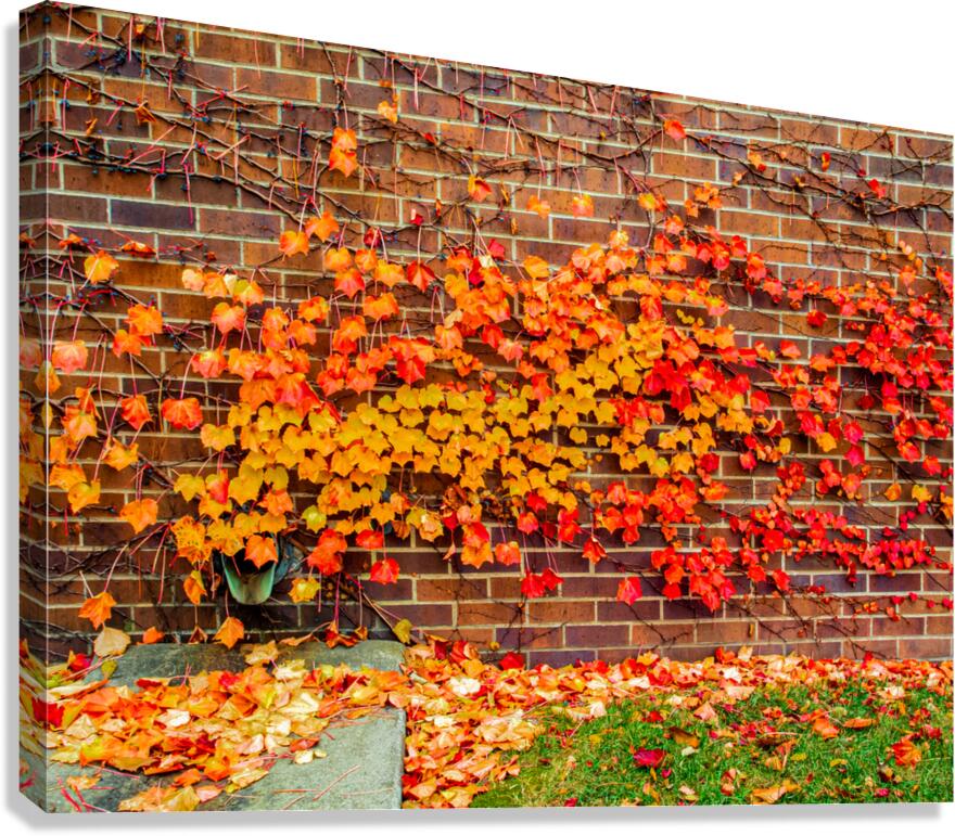 Fall Wall