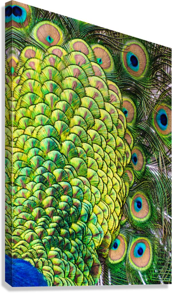 Many Eyes