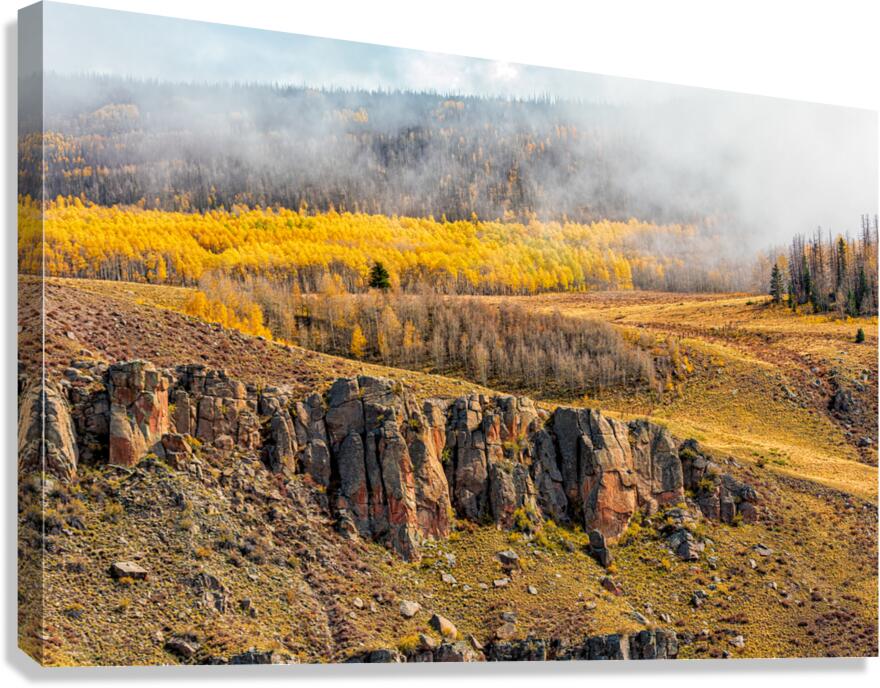 Misty Gold