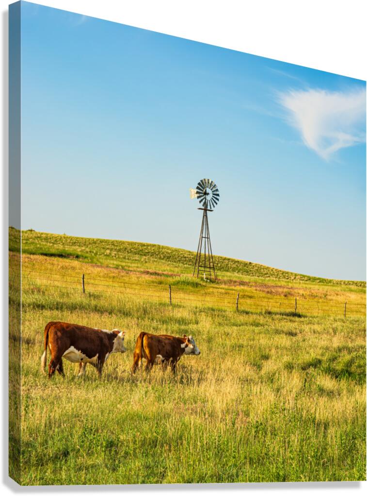 Iconic Nebraska Sandhills Scene