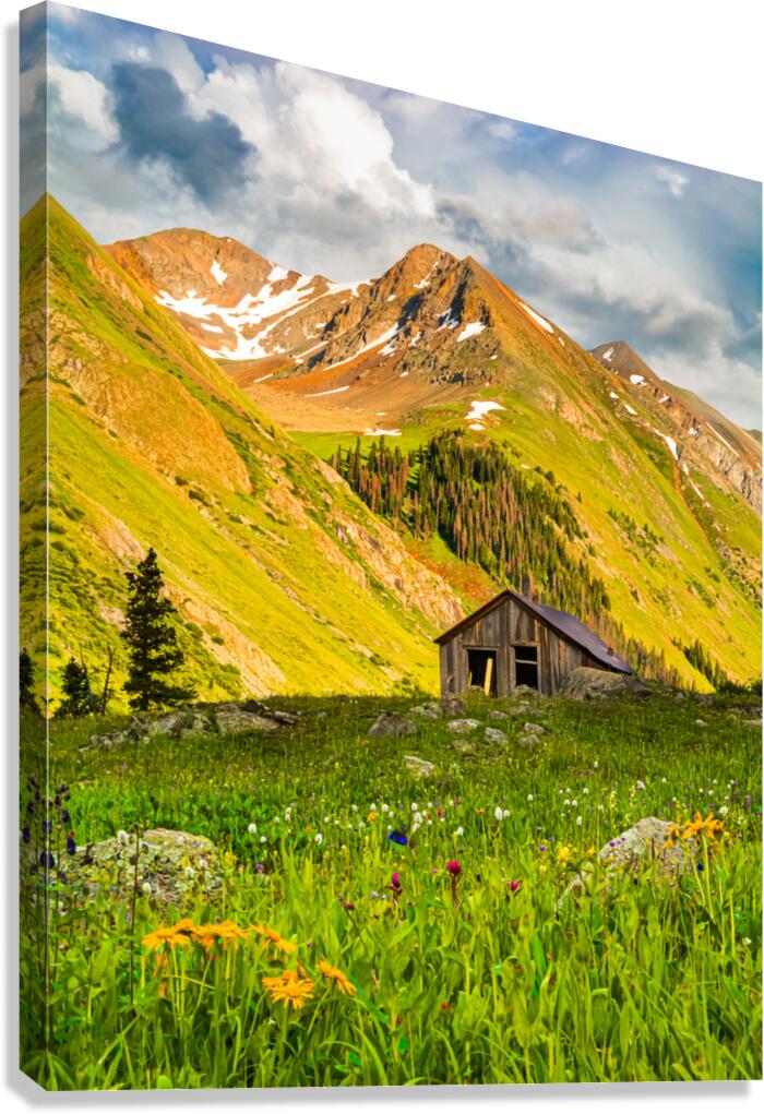 Abandoned Miners Cabin