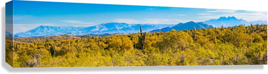 Desert And Mountains