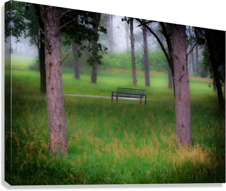 Bench For Daydreaming