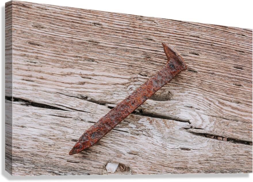 Rusty Railroad Spike