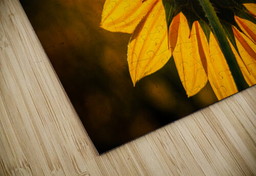 Solar Prairie Wind Imagery puzzle