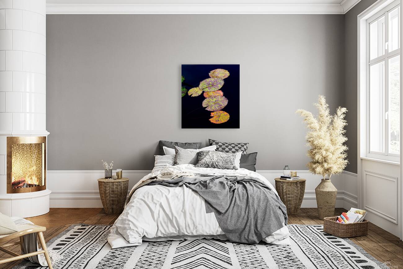 Lily Pads Reproduction