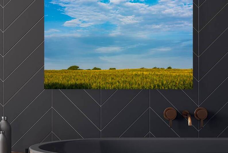 Summer Sky Over Cornfield by Prairie Wind Imagery
