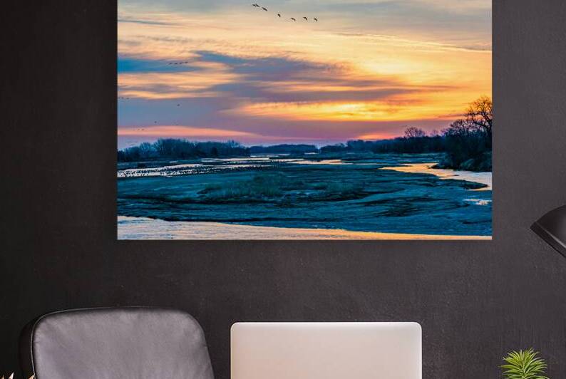 Sandhill Cranes On The Platte River Nebraska At Sunrise by Prairie Wind Imagery