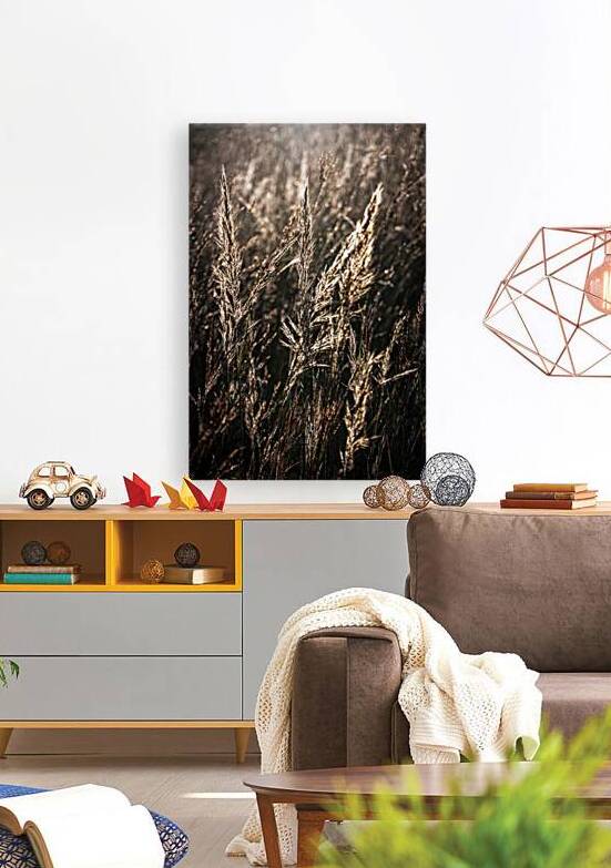 Sunlit by Prairie Wind Imagery
