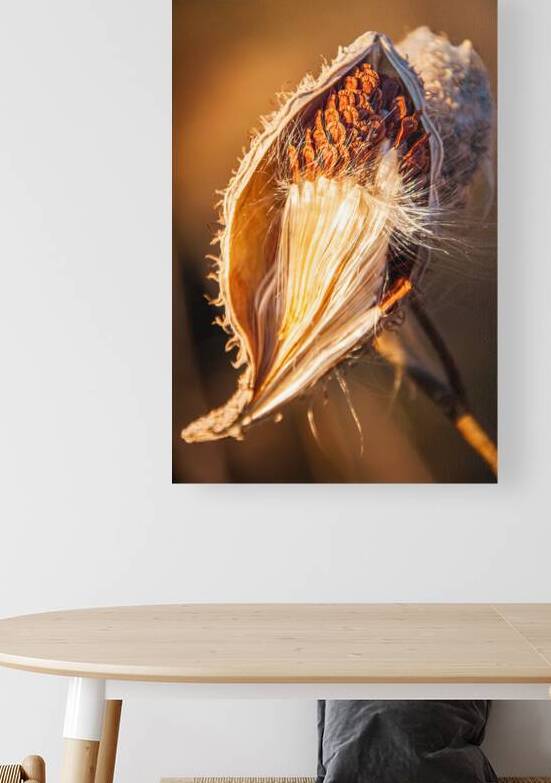 ReadyTo Take Flight by Prairie Wind Imagery