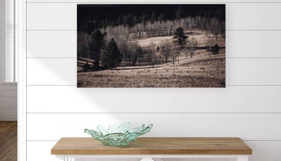 Colorado Late Autumn Meadow 4 With Sepia Tone by Prairie Wind Imagery