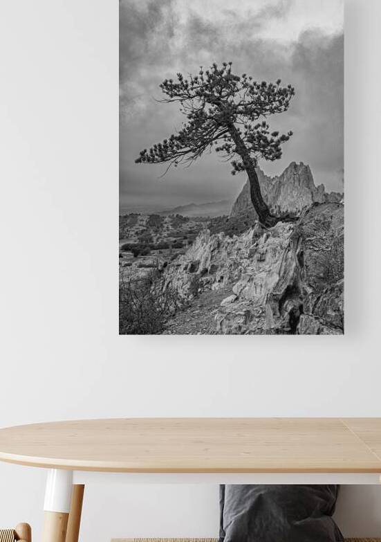 Perserverance B W by Prairie Wind Imagery