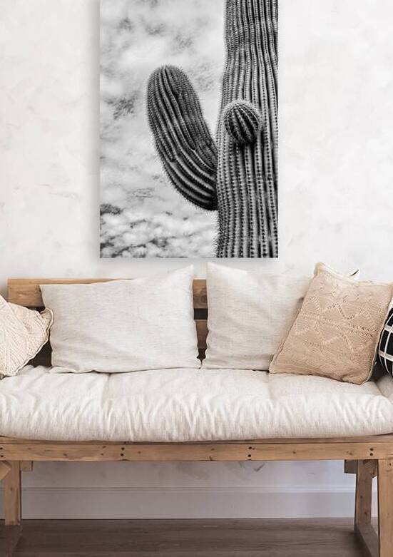 Saguaro Cactus B W by Prairie Wind Imagery