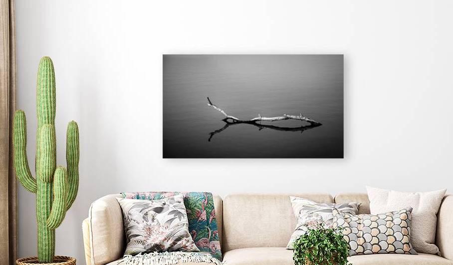 Reflected Branch B&W by Prairie Wind Imagery
