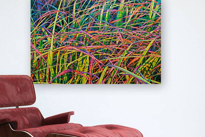 Weaves Of Grass by Prairie Wind Imagery