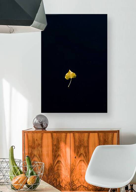 Floating Leaf by Prairie Wind Imagery