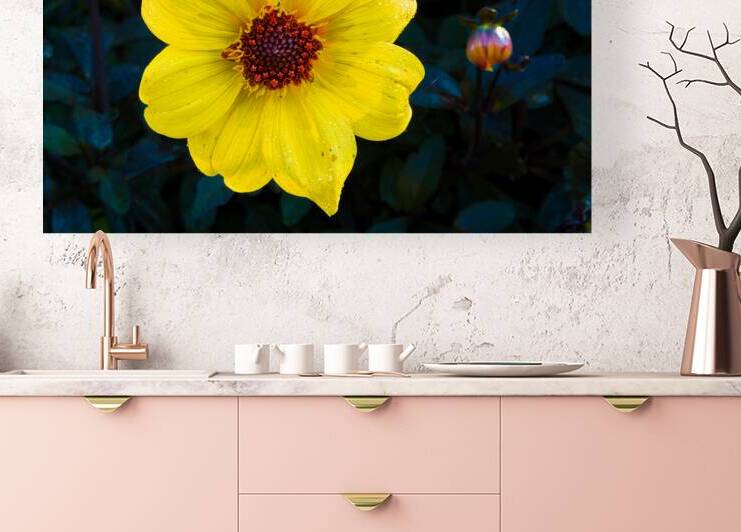 Yellow Dahlia And Bud by Prairie Wind Imagery