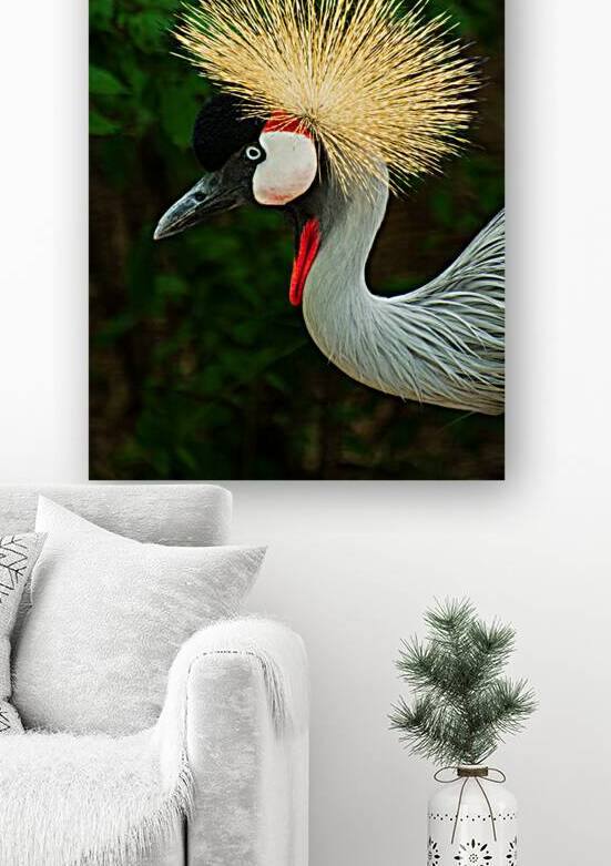 Bad Hair Day by Prairie Wind Imagery