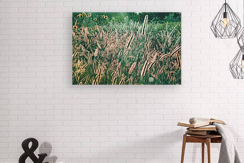 Dreamy Prairie by Prairie Wind Imagery