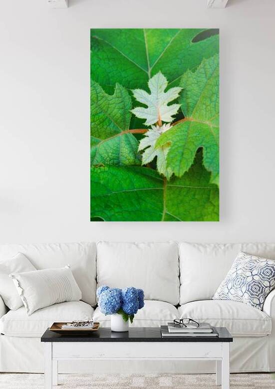 New Leaves by Prairie Wind Imagery