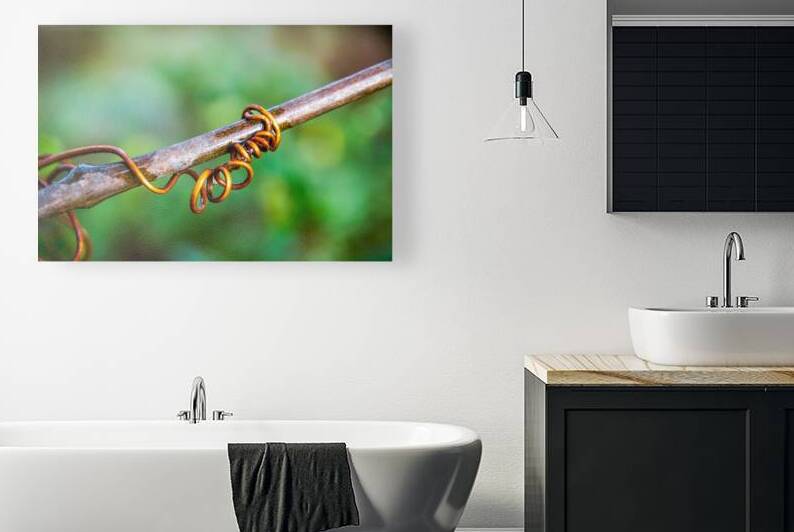 Tendril by Prairie Wind Imagery