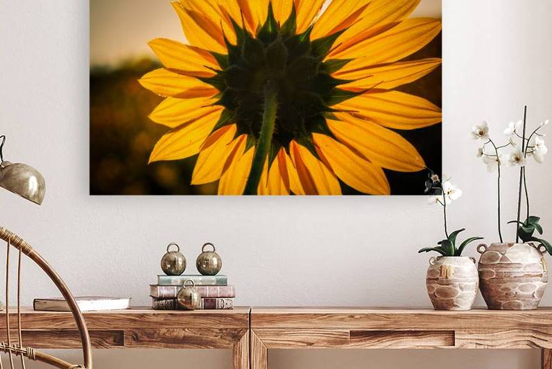 Solar by Prairie Wind Imagery