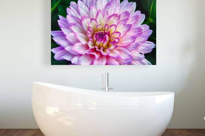 Dahlia Dew by Prairie Wind Imagery