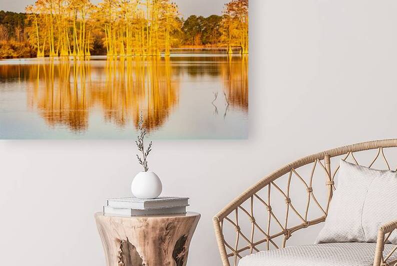 Cypress Sunrise Reflection by Prairie Wind Imagery