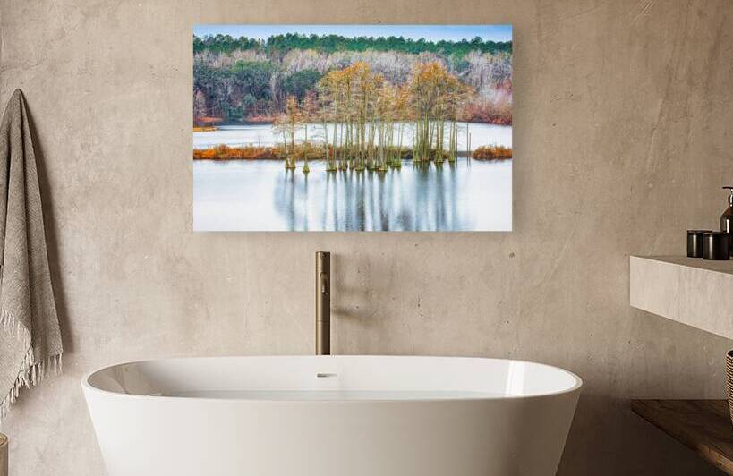 Florida Cypress by Prairie Wind Imagery