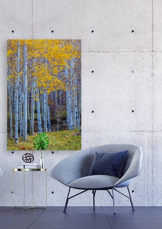 Blue Hour Aspen by Prairie Wind Imagery